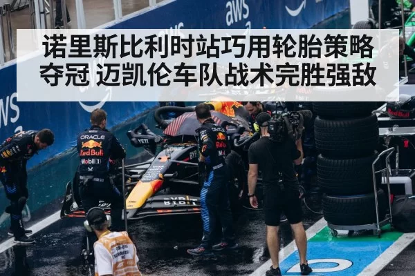F1 pit stop tire change